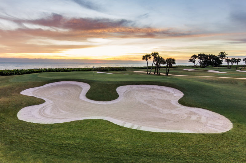 Polishing an oceanside gem