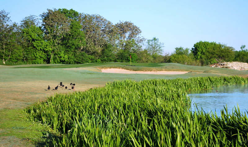 Roy Kizer Golf Course