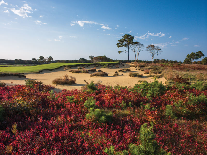 The Vineyard Golf Club ninth hole