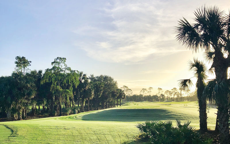 Passion play: Darren J. Davis, CGCS Olde Florida Golf Club