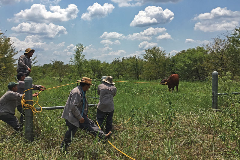 Fuel your passion as a golf course superintendent Southern Oaks crew
