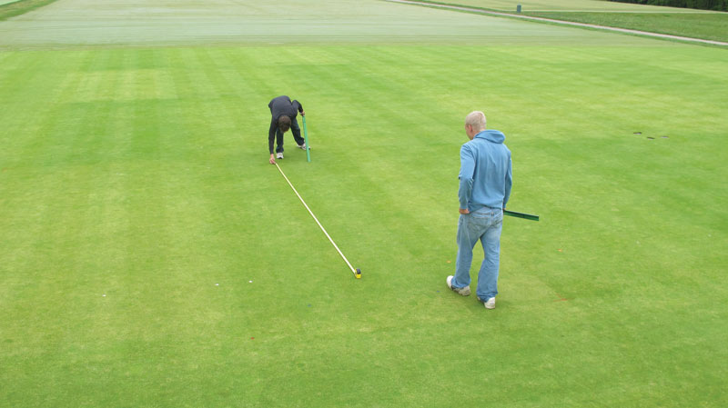 Ball roll measurement