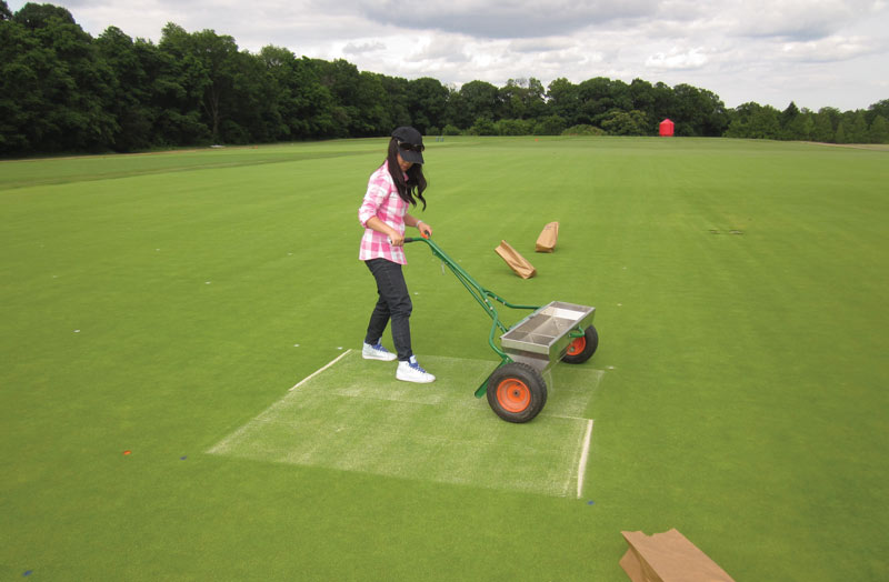 Sand topdressing