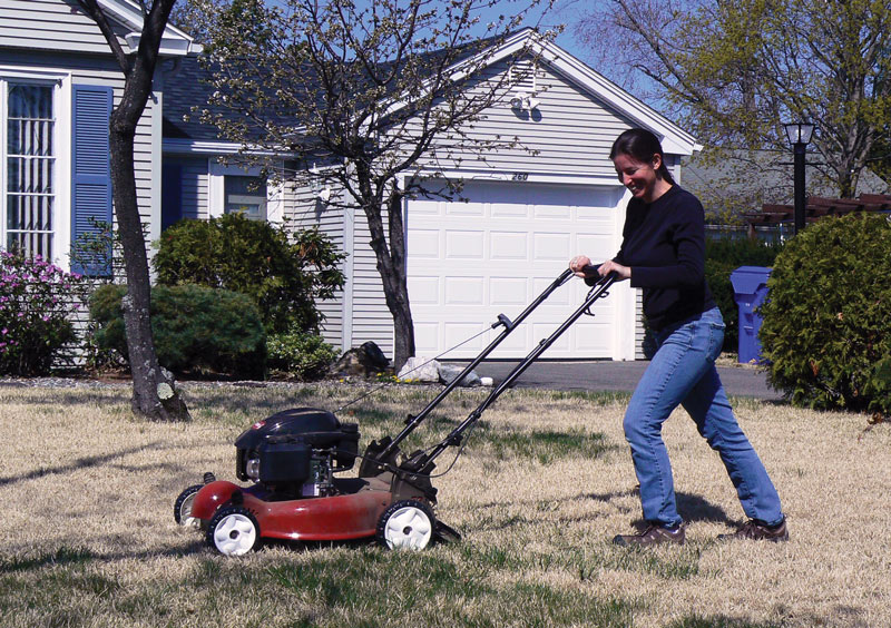 Pollinator habitat in lawns