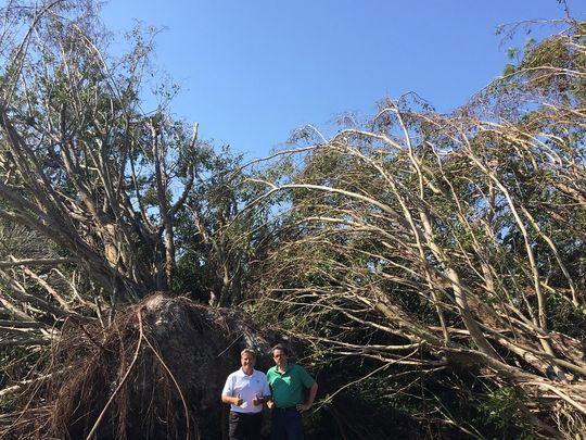 Hurricane Irma golf course