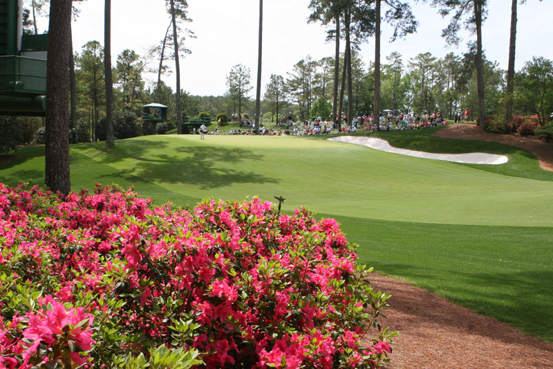 Augusta National grass