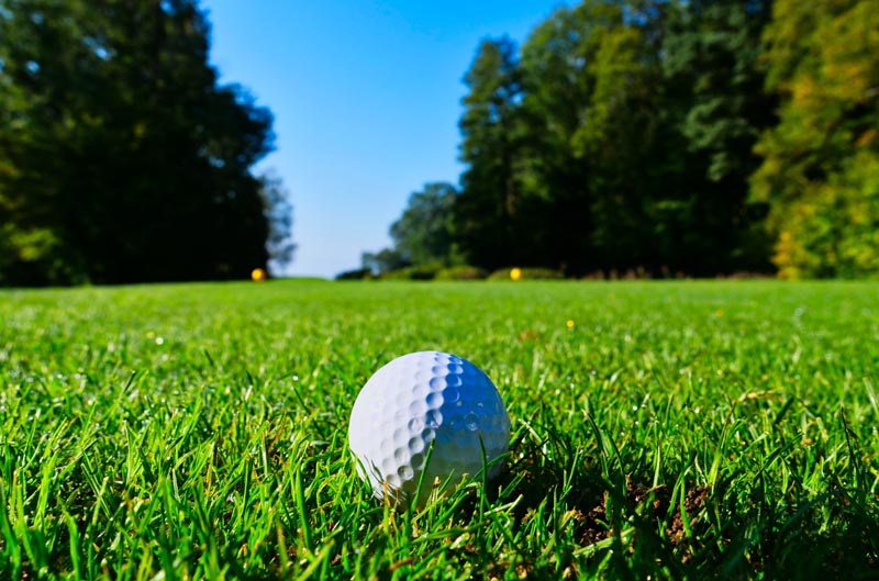 Love of golf