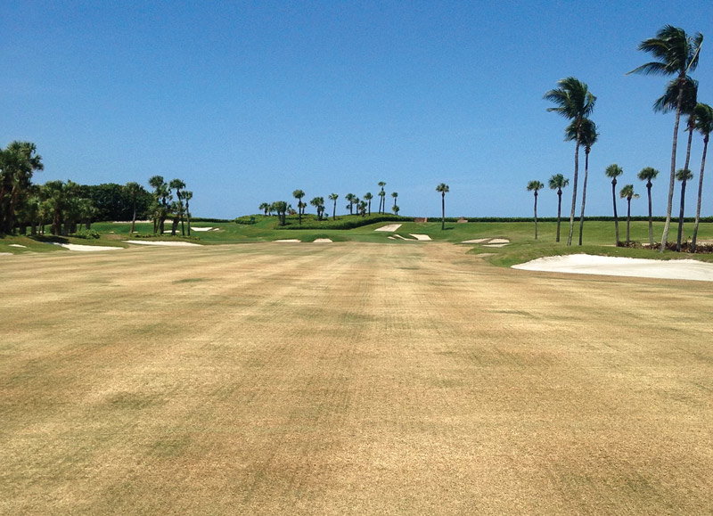 What makes a good golf course superintendent? Kiawah Island Golf Resort