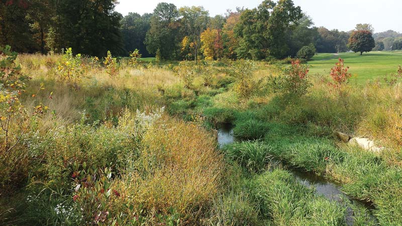 Stream of conscience: Kennett Square Golf and Country Club Red Clay Creek
