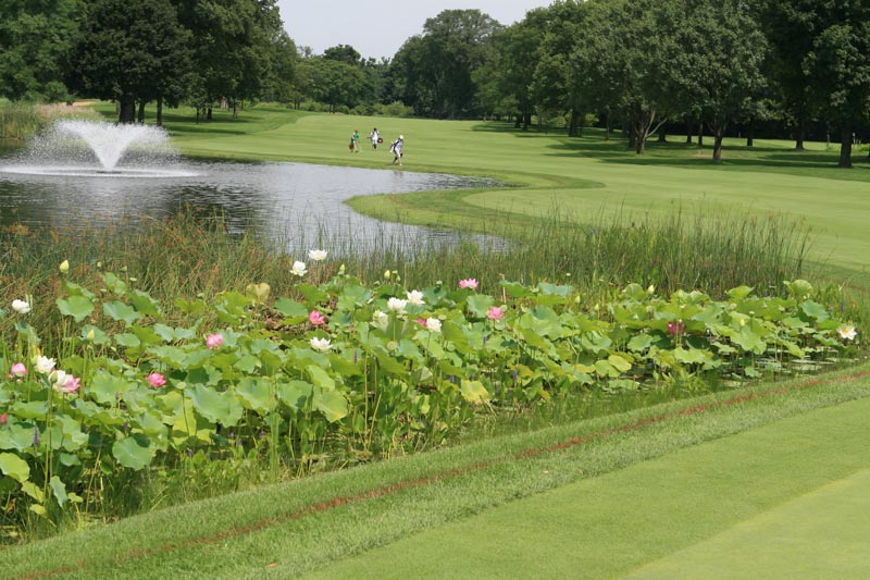 Three states establish BMP guidelines for golf courses Golf course BMPs