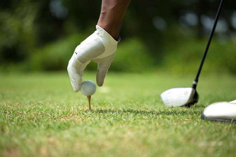 African American Golf Expo