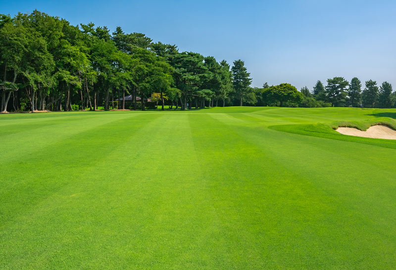 GCSAA funds over $144,000 in new turfgrass research GCSAA turfgrass research