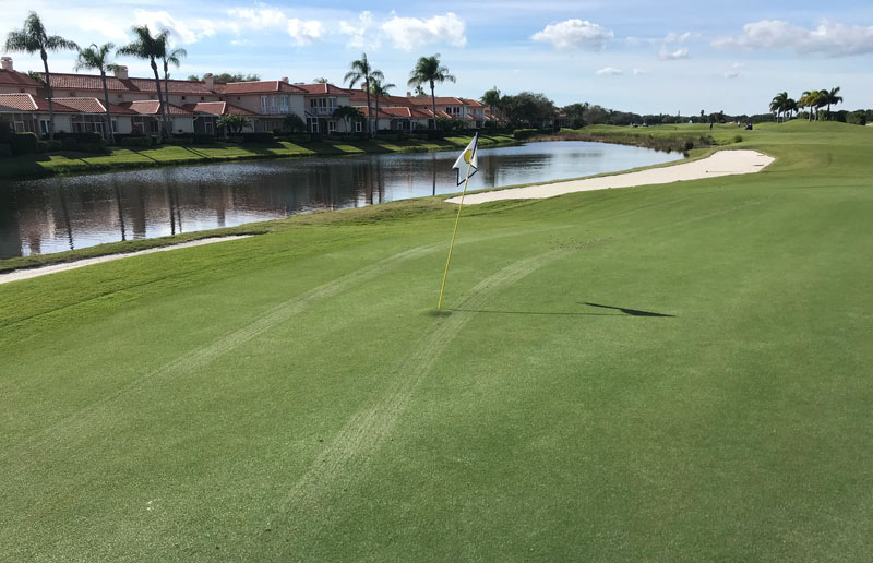 Police chase ends on Florida golf course Police chase on golf course