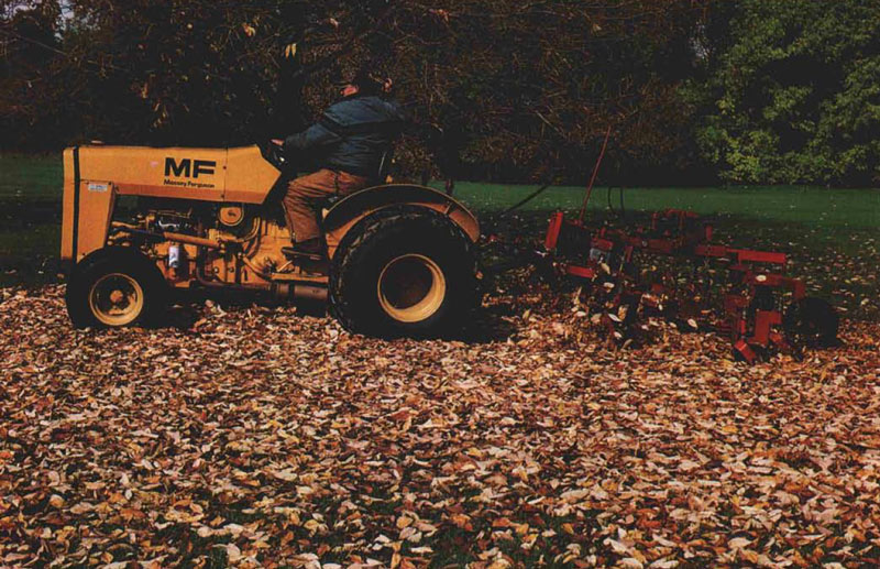 Mulch fall leaves into turfgrass Mulching leaves golf course