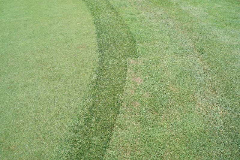 13 tips for better putting green collars Putting green collar