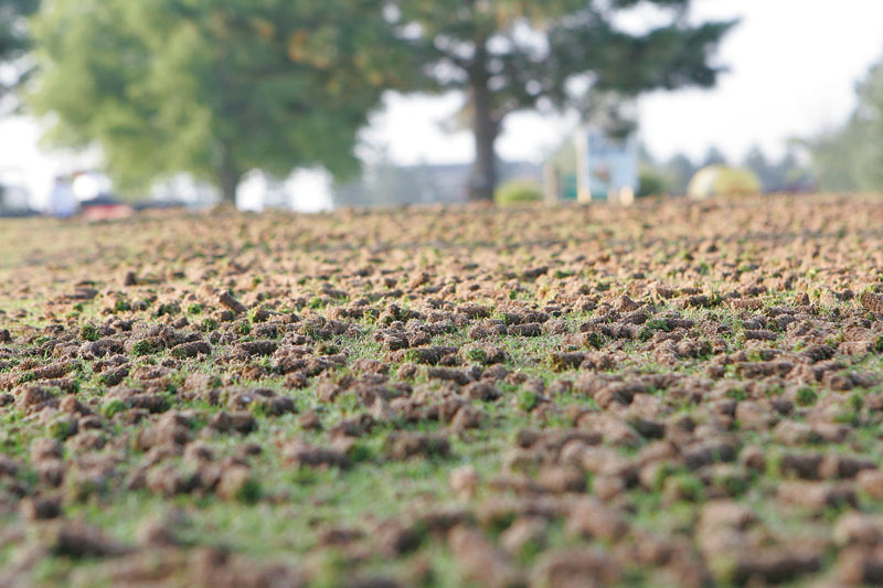 Turfgrass aeration