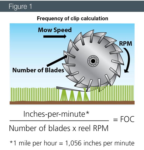 The fundamentals of frequency of clip Mower frequency of clip