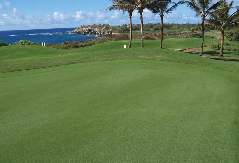 A tale of two golf course renovations Poipu Bay Golf Course