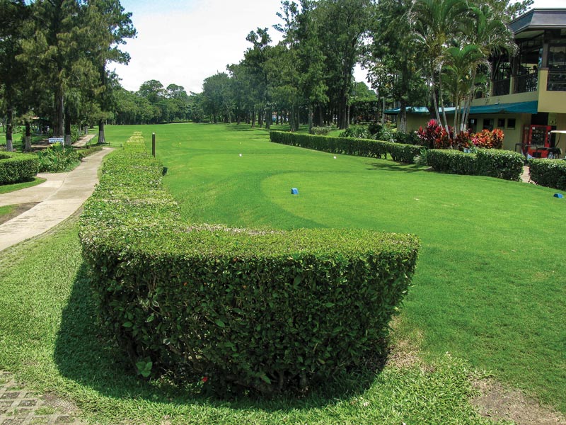 Tee box maintenance