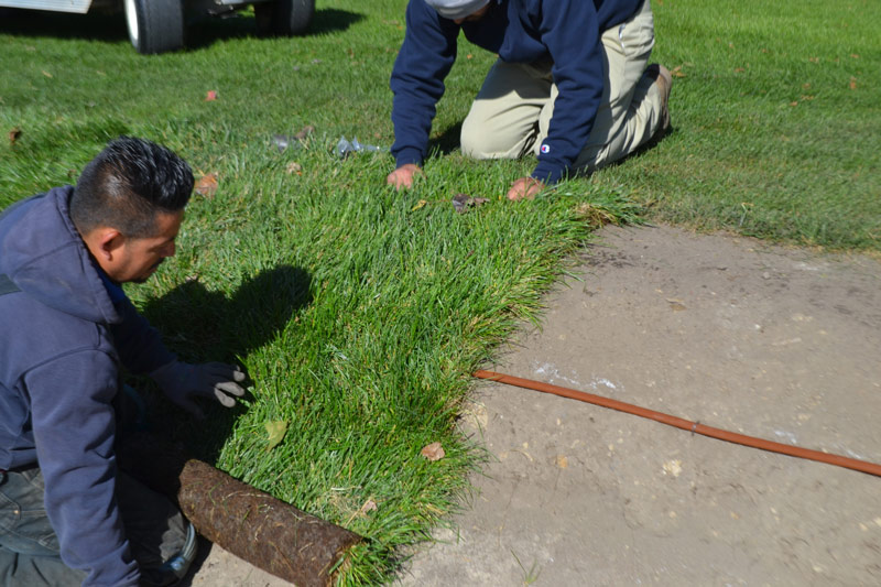 Turf hack: Drip irrigation for bunker surrounds Bunker drip irrigation