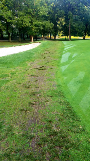 An unconventional golf course overseed Golf course collar seeder