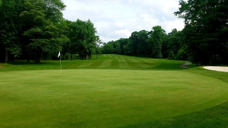 An unconventional golf course overseed Golf course overseed