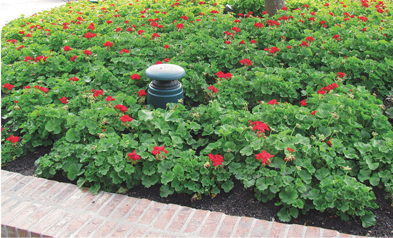 outdoor speaker