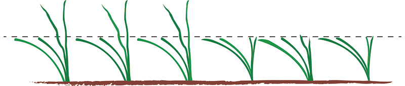 figure 2A and 2B