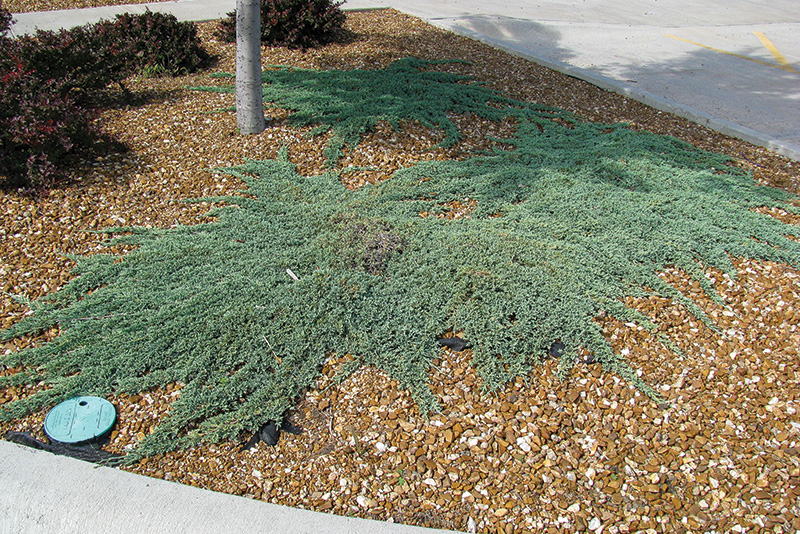 Aerial view of Ghost Creek golf course