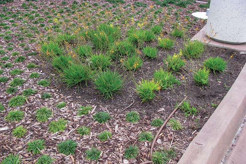 Aerial view of Ghost Creek golf course
