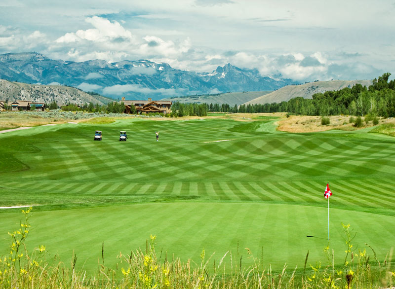 The 4 Ts for improving your golf course without spending a dime The Club at 3 Creek golf