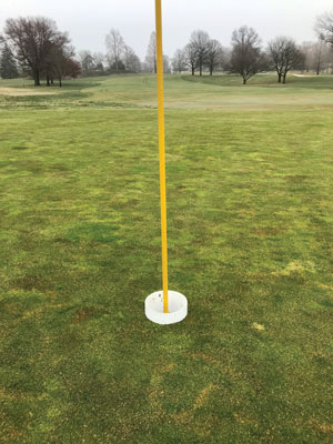 Coronavirus: 10 lessons for the golf course management industry Elevated golf cup