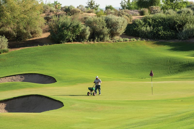 Room at the top: Nancy Dickens, CGCS Kierland Resort golf course
