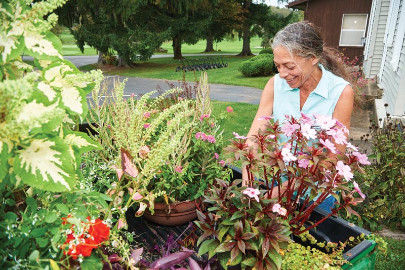 Indelible stamp: The Powell family and Clearview Golf Club Teresa Cole Clearview