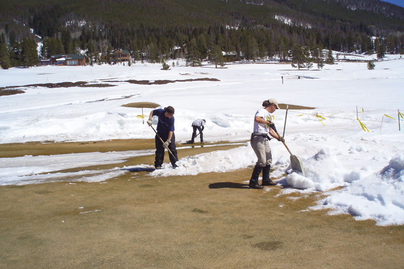 Women in turf: Navigating the workplace Women golf course superintendent