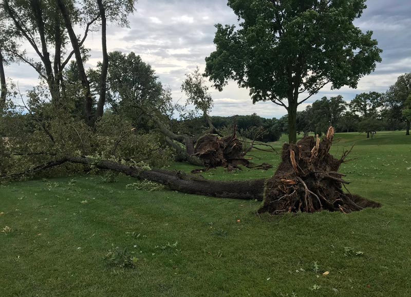 Iowa derecho: Superintendents recount storm, damages Davenport Country Club