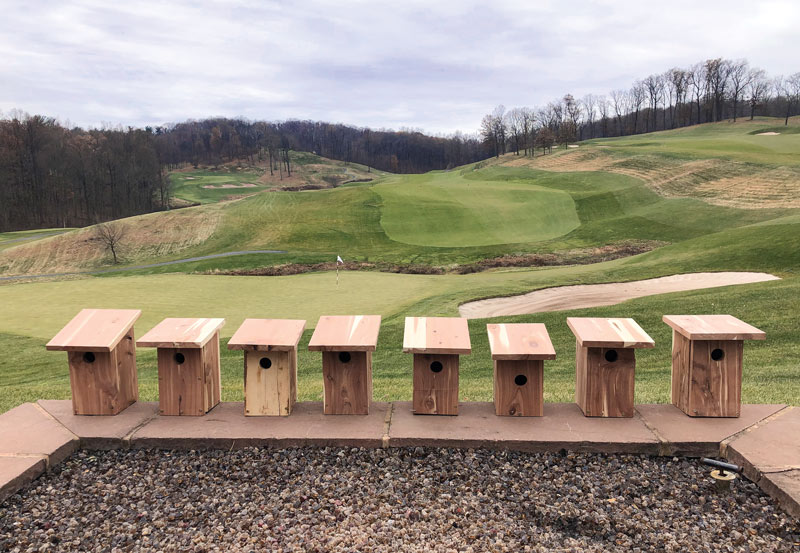 LedgeRock Golf Club’s learning lab Golf course bird boxes