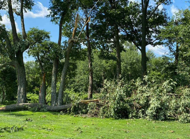 Damage done at Winged Foot Golf Club Isaias damage golf course