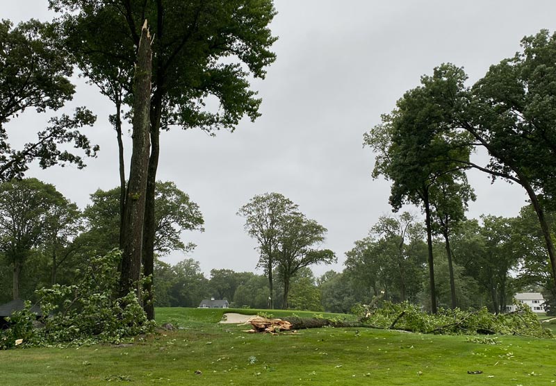 Damage done at Winged Foot Golf Club Isaias damage Winged Foot