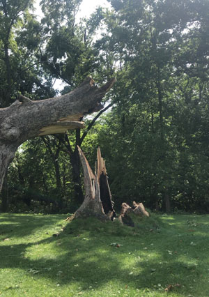 Iowa derecho: Superintendents recount storm, damages Tournament Club of Iowa