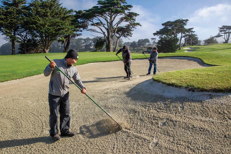 Bay beauty: The PGA Championship at TPC Harding Park TPC Harding Park bunkers