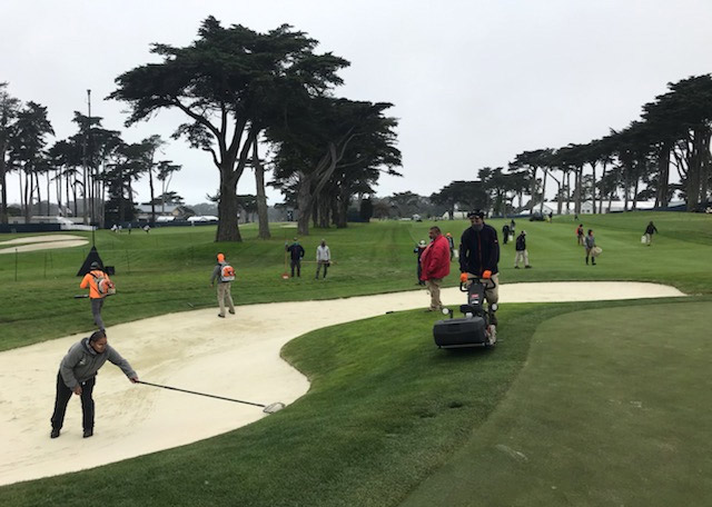 PGA Championship: A short-handed crew turns out TPC Harding Park TPC Harding Park golf course maintenance