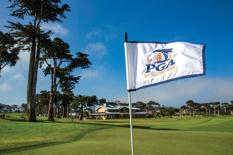 Bay beauty: The PGA Championship at TPC Harding Park TPC Harding Park PGA Championship
