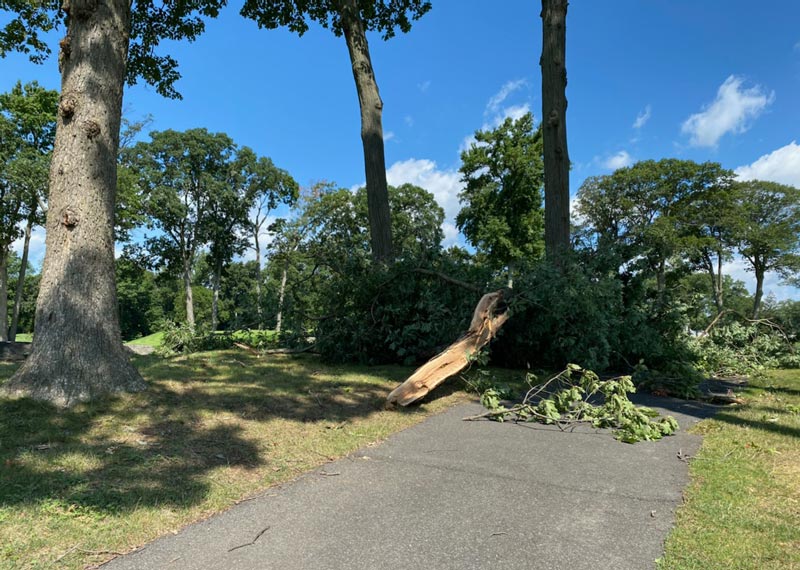 Damage done at Winged Foot Golf Club Winged Foot damage