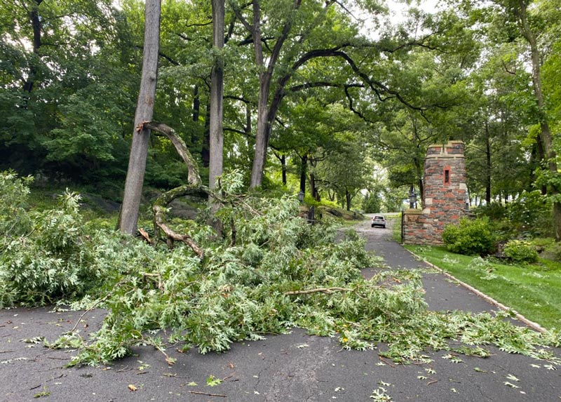 Damage done at Winged Foot Golf Club Winged Foot Isaias damage