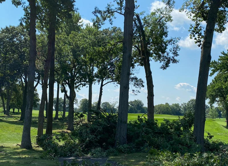 Damage done at Winged Foot Golf Club Winged Foot tree damage