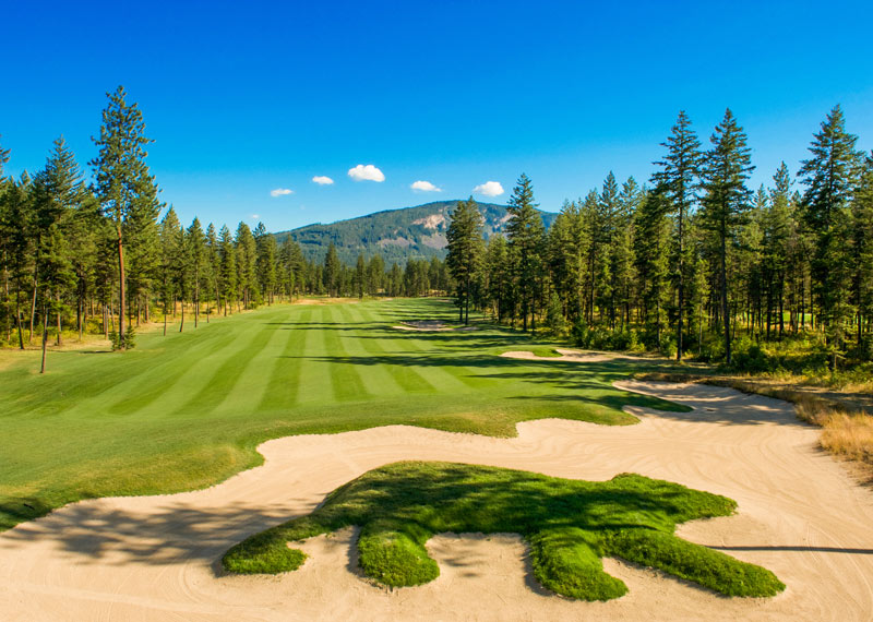 The art of the golf course bunker Talking Rock bear bunker