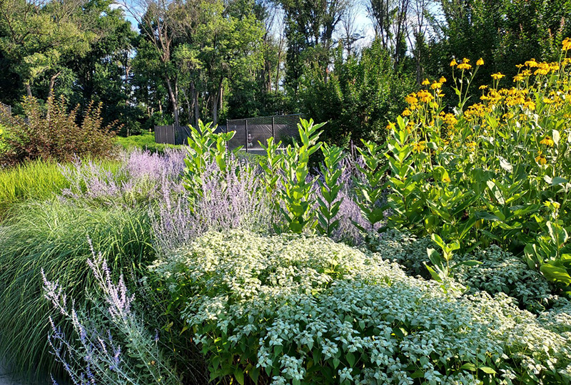 Garden at Aronimik Golf Club's Tennis Center