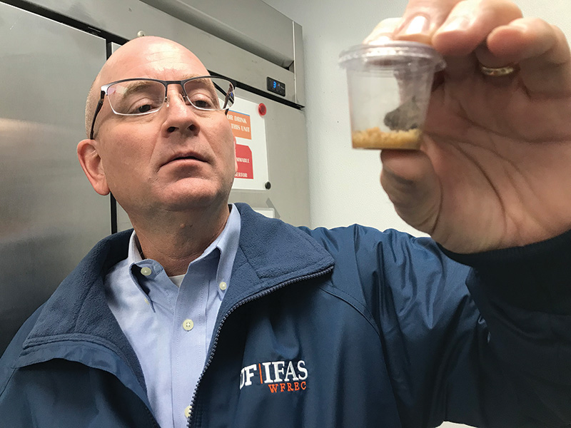 Unruh with moth specimen