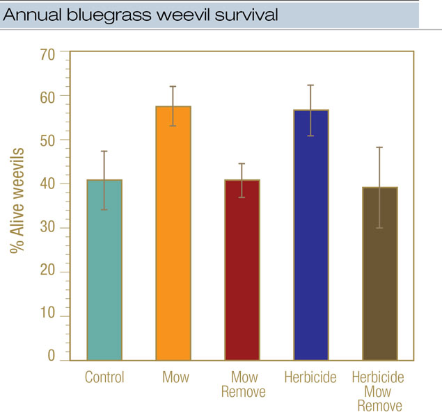 Annual bluegrass weevil overwintering in golf course natural areas ABW survival